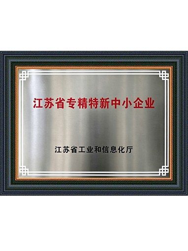 2025年度省级专精特新中小企业证书